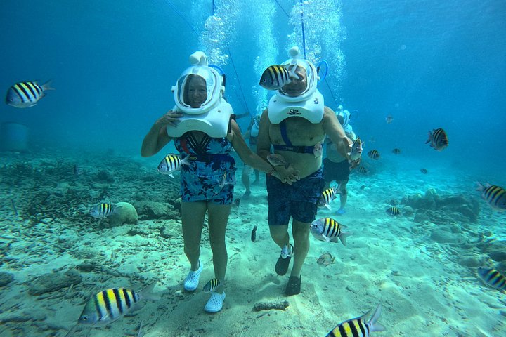 Ervaar een onderwater helmwandeling op de oceaanbodem in Curaçao en observeer het zeeleven, foto 28 | wizardtrip