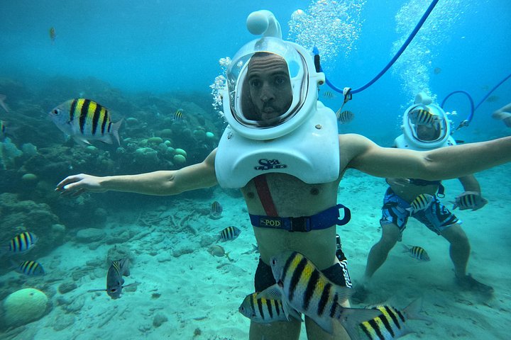 Ervaar een onderwater helmwandeling op de oceaanbodem in Curaçao en observeer het zeeleven, foto 29 | wizardtrip