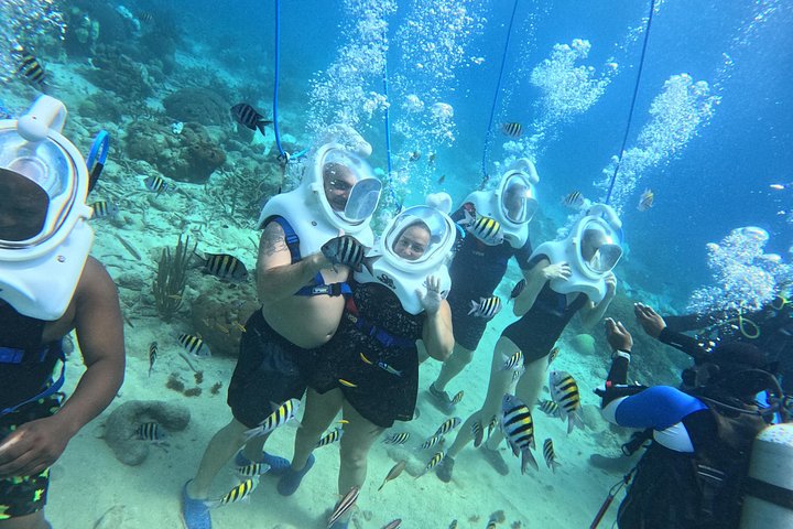 Ervaar een onderwater helmwandeling op de oceaanbodem in Curaçao en observeer het zeeleven, foto 30 | wizardtrip