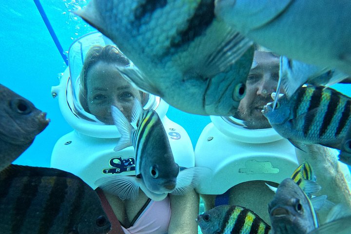 Ervaar een onderwater helmwandeling op de oceaanbodem in Curaçao en observeer het zeeleven, foto 31 | wizardtrip