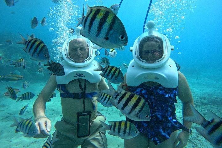 Ervaar een onderwater helmwandeling op de oceaanbodem in Curaçao en observeer het zeeleven, foto 32 | wizardtrip