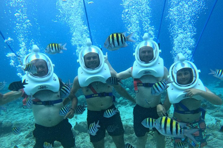 Ervaar een onderwater helmwandeling op de oceaanbodem in Curaçao en observeer het zeeleven, foto 33 | wizardtrip