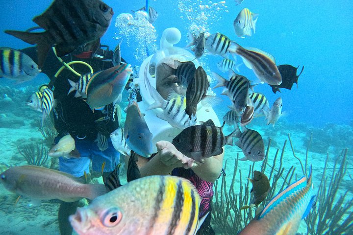 Ervaar een onderwater helmwandeling op de oceaanbodem in Curaçao en observeer het zeeleven, foto 36 | wizardtrip