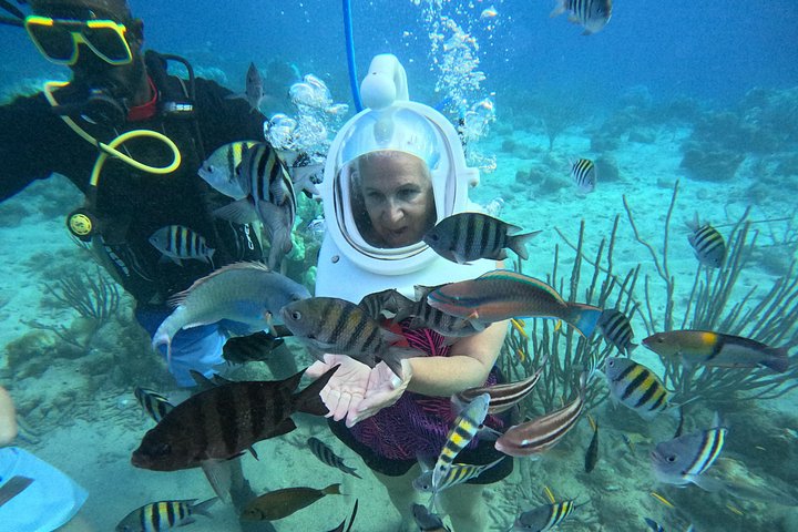 Ervaar een onderwater helmwandeling op de oceaanbodem in Curaçao en observeer het zeeleven, foto 37 | wizardtrip