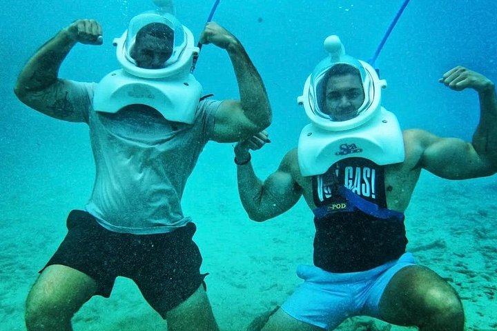 Ervaar een onderwater helmwandeling op de oceaanbodem in Curaçao en observeer het zeeleven, foto 39 | wizardtrip