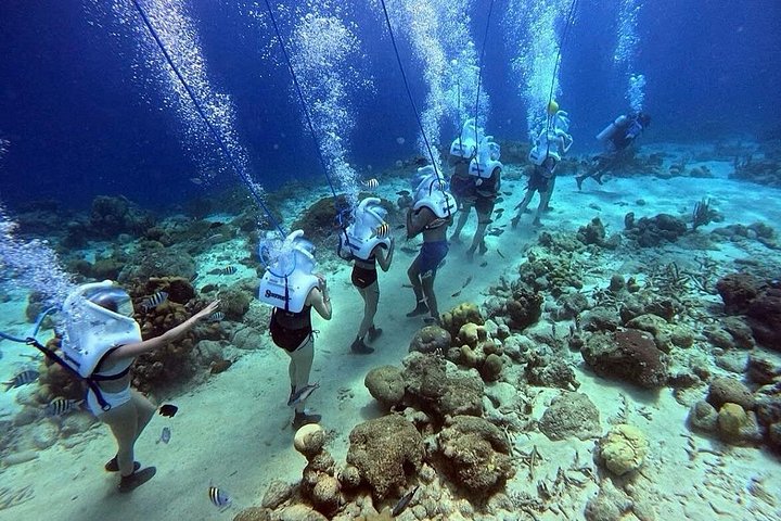 Ervaar een onderwater helmwandeling op de oceaanbodem in Curaçao en observeer het zeeleven, foto 40 | wizardtrip