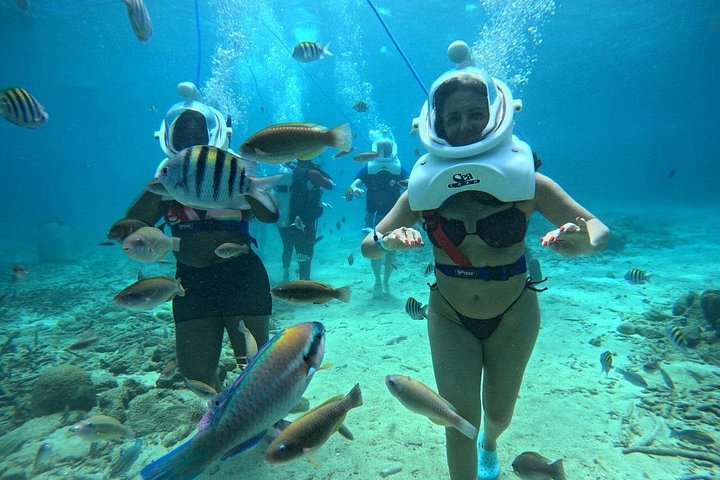 Ervaar een onderwater helmwandeling op de oceaanbodem in Curaçao en observeer het zeeleven, foto 48 | wizardtrip