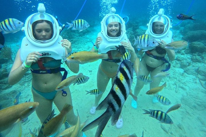 Ervaar een onderwater helmwandeling op de oceaanbodem in Curaçao en observeer het zeeleven, foto 49 | wizardtrip