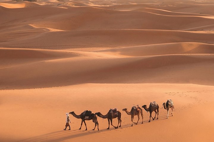 Marrakech to Merzouga : Circuit 3 jours dans le Sahara avec balade à dos de dromadaire et bivouac | wizardtrip