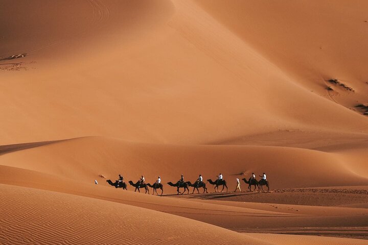 Circuit de 3 jours dans le désert du Sahara au départ de Marrakech avec balades à dos de dromadaire, Aït Ben Haddou et bivouac, photo 9 | wizardtrip