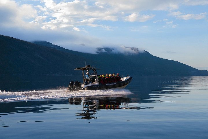 Opwindende RIB-boottocht door Noorwegens Lysefjord, met Preikestolen en adembenemende natuurlandschappen, foto 16 | wizardtrip