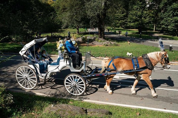 Enjoy a romantic horse-drawn carriage ride through New York's Central Park, a classic city attraction, photo 6 | wizardtrip