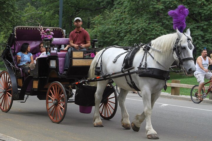 Enjoy a romantic horse-drawn carriage ride through New York's Central Park, a classic city attraction, photo 7 | wizardtrip