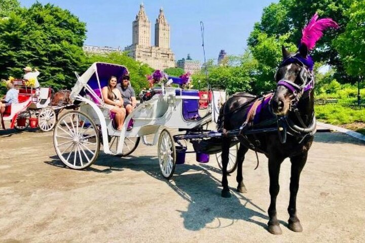 Enjoy a romantic horse-drawn carriage ride through New York's Central Park, a classic city attraction, photo 8 | wizardtrip