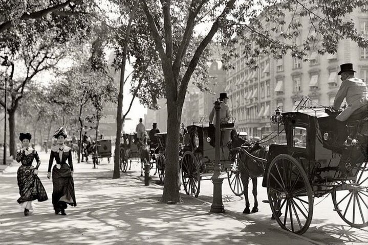 Enjoy a romantic horse-drawn carriage ride through New York's Central Park, a classic city attraction, photo 9 | wizardtrip