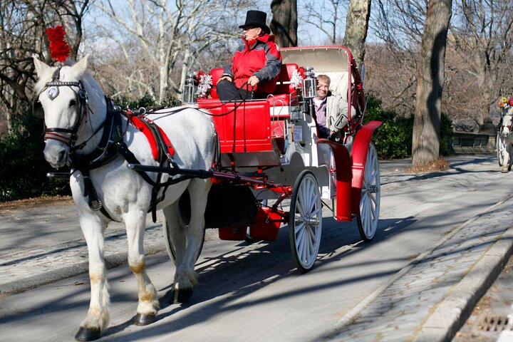 Enjoy a romantic horse-drawn carriage ride through New York's Central Park, a classic city attraction, photo 11 | wizardtrip