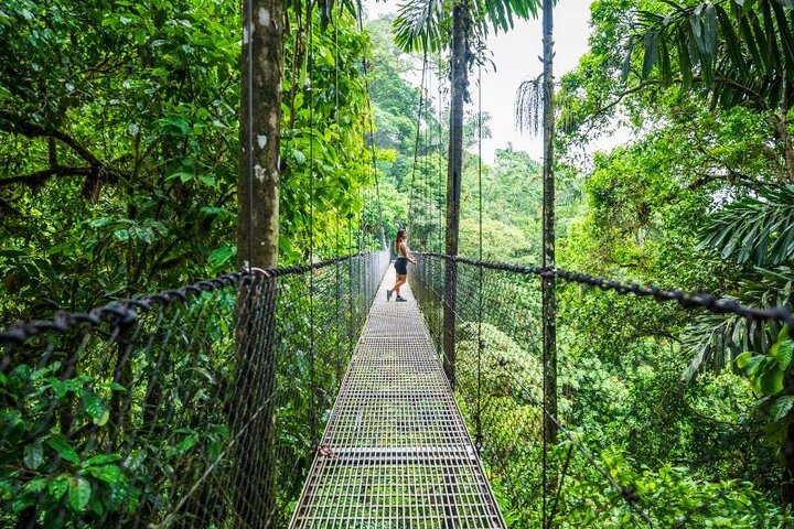 La Fortuna: Mistico Park Hengebroer Guidende Tur | wizardtrip