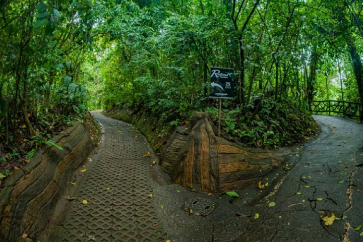 Guided tour of Mistico Park Hanging Bridges in La Fortuna, Costa Rica, showcasing rainforest canopy and wildlife, photo 6 | wizardtrip