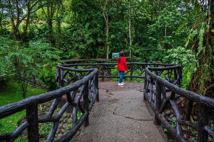 Guided tour of Mistico Park Hanging Bridges in La Fortuna, Costa Rica, showcasing rainforest canopy and wildlife, photo 7 | wizardtrip