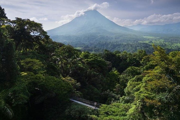 Guided tour of Mistico Park Hanging Bridges in La Fortuna, Costa Rica, showcasing rainforest canopy and wildlife, photo 8 | wizardtrip