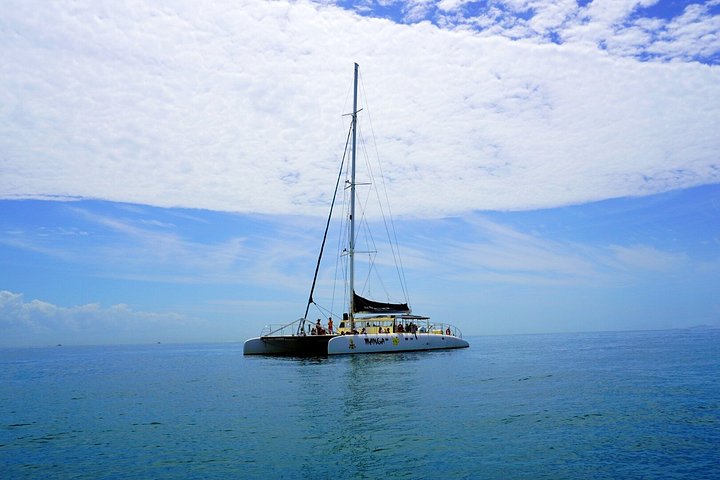 Heldags katamarantur til Isla Taboga fra Panama City med sejlads, svømning og ø-udforskning, foto 15 | wizardtrip