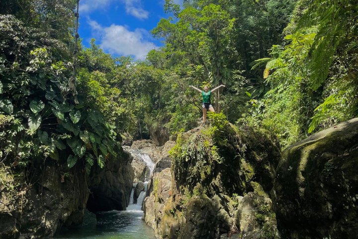 El Yunque Rainforest Tour met Luquillo Lunch & Vervoer (Max 6 Gasten) | wizardtrip