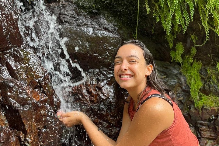 Utforsk den frodige El Yunque regnskog, svøm i naturlige fossefall og nyt lokal mat nær Luquillo Beach, Puerto Rico, foto 10 | wizardtrip