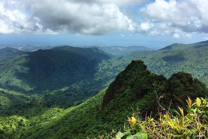 Utforsk den frodige El Yunque regnskog, svøm i naturlige fossefall og nyt lokal mat nær Luquillo Beach, Puerto Rico, foto 41 | wizardtrip