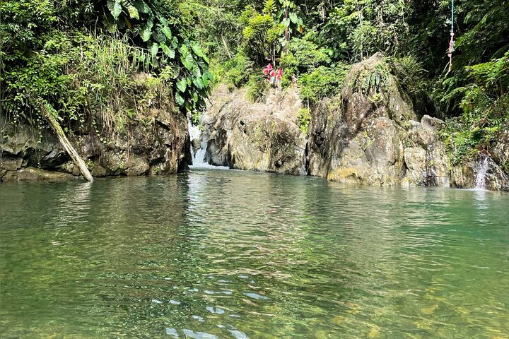 Utforsk den frodige El Yunque regnskog, svøm i naturlige fossefall og nyt lokal mat nær Luquillo Beach, Puerto Rico, foto 42 | wizardtrip