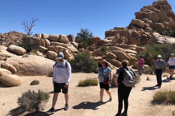Offroad-avontuur in Joshua Tree National Park, Californië, met unieke geologie en woestijnlandschappen, foto 6 | wizardtrip