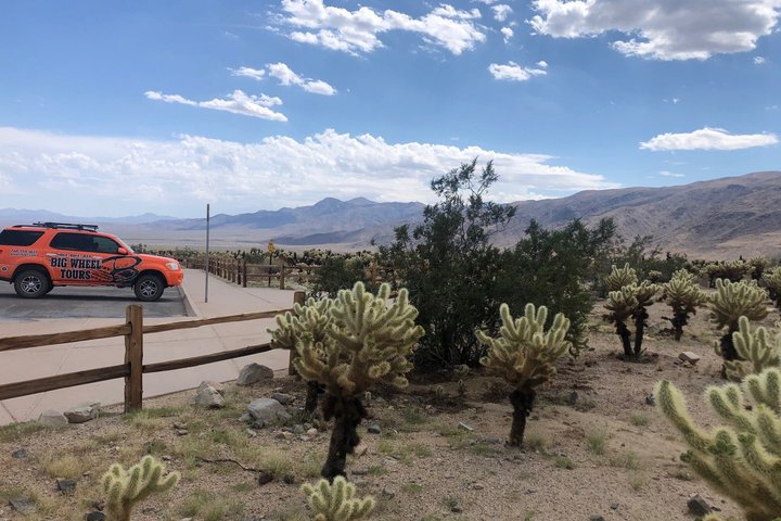 Offroad-avontuur in Joshua Tree National Park, Californië, met unieke geologie en woestijnlandschappen, foto 9 | wizardtrip