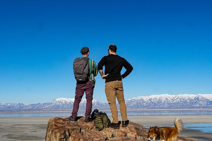 Wildlife- en zonsondergangtour bij Great Salt Lake, Utah, foto 6 | wizardtrip