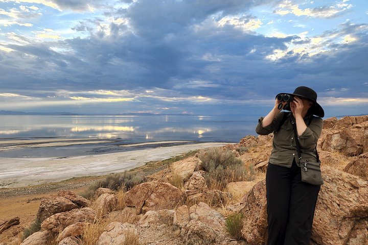 Wildlife- en zonsondergangtour bij Great Salt Lake, Utah, foto 9 | wizardtrip