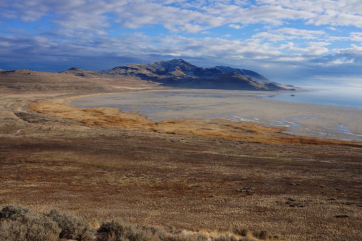 Wildlife- en zonsondergangtour bij Great Salt Lake, Utah, foto 13 | wizardtrip