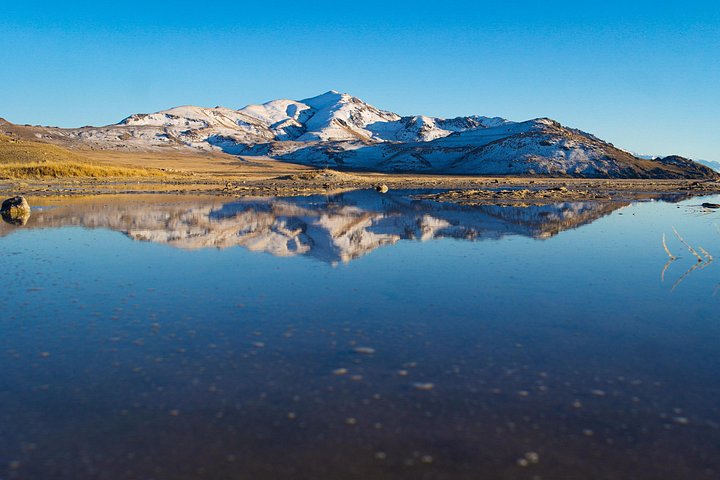 Wildlife- en zonsondergangtour bij Great Salt Lake, Utah, foto 14 | wizardtrip