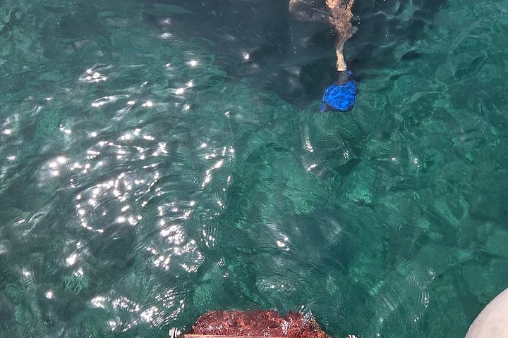 Cruzeiro de barco grego tradicional em Kefalonia, visitando praias deslumbrantes e desfrutando das comodidades a bordo, foto 33 | wizardtrip
