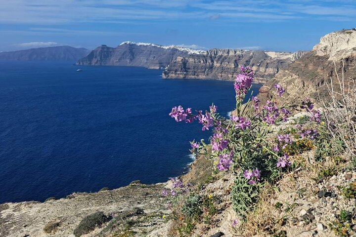 Tour privato di mezza giornata alla scoperta dei villaggi iconici di Santorini, viste sulla caldera e spiagge uniche, foto 30 | wizardtrip