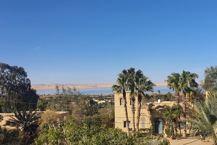 Excursion privée dans l'oasis d'El Fayoum et la cascade de Wadi Rayan au départ du Caire | wizardtrip