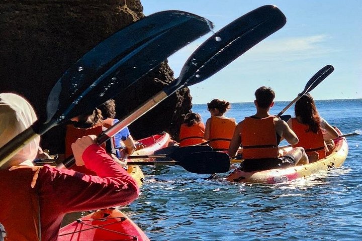Excursion guidée en kayak explorant les grottes, plages et formations rocheuses de Benagil sur la côte de l'Algarve au Portugal, photo 8 | wizardtrip