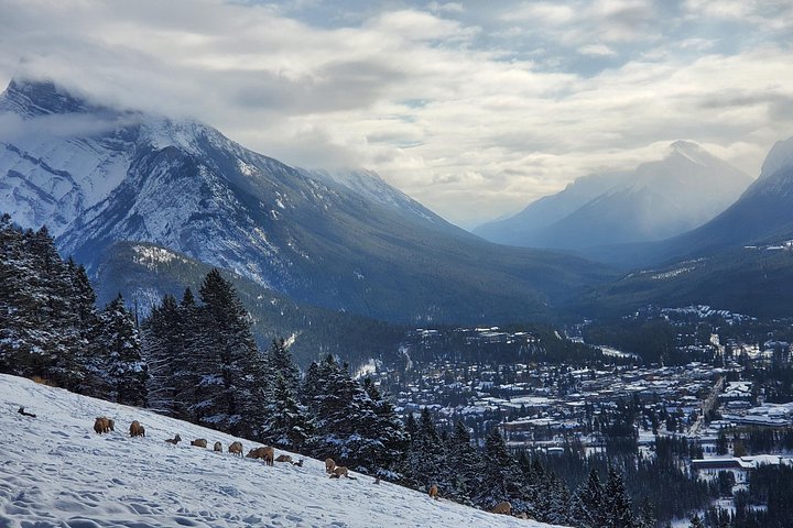 Naturskjønn dagstur som utforsker Banff nasjonalparks fantastiske innsjøer og fjell fra Calgary, foto 21 | wizardtrip