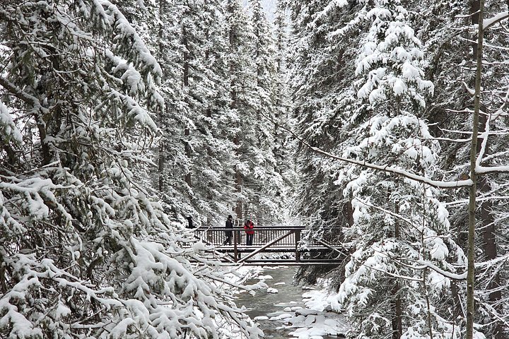 Naturskjønn dagstur som utforsker Banff nasjonalparks fantastiske innsjøer og fjell fra Calgary, foto 23 | wizardtrip