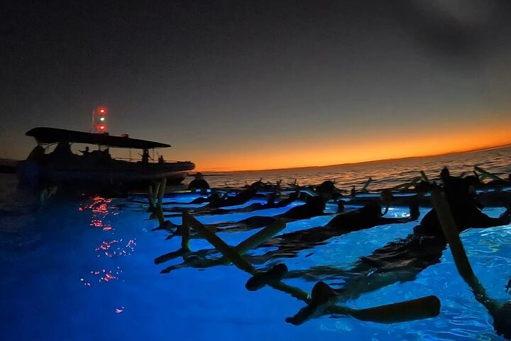 Nachtsnorkelen met Manta Rays in Kailua-Kona, Big Island, Hawaï, foto 11 | wizardtrip