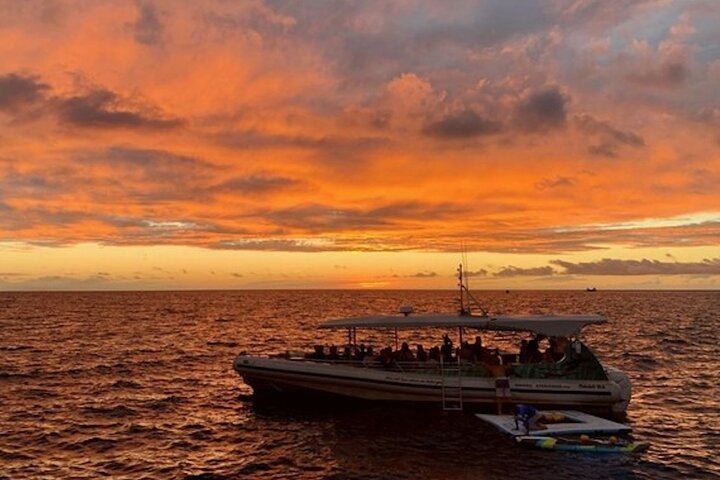 Nachtsnorkelen met Manta Rays in Kailua-Kona, Big Island, Hawaï, foto 16 | wizardtrip