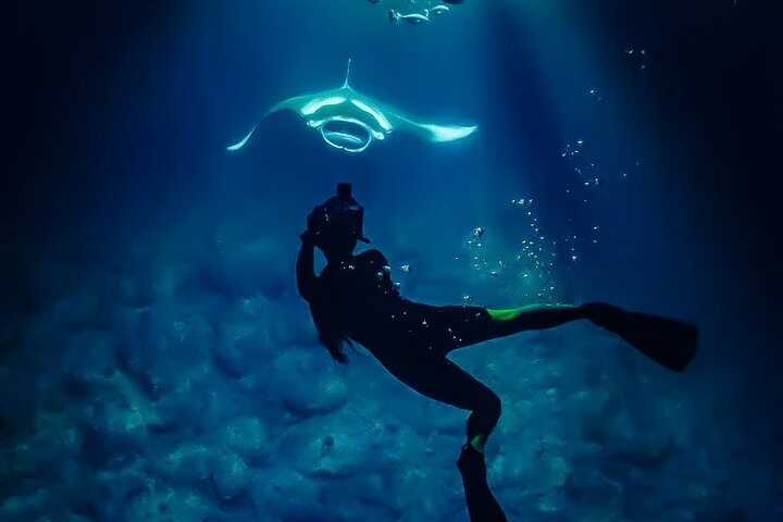 Nachtsnorkelen met Manta Rays in Kailua-Kona, Big Island, Hawaï, foto 18 | wizardtrip