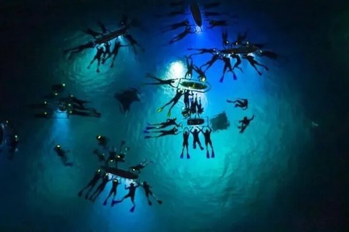 Nachtsnorkelen met Manta Rays in Kailua-Kona, Big Island, Hawaï, foto 19 | wizardtrip