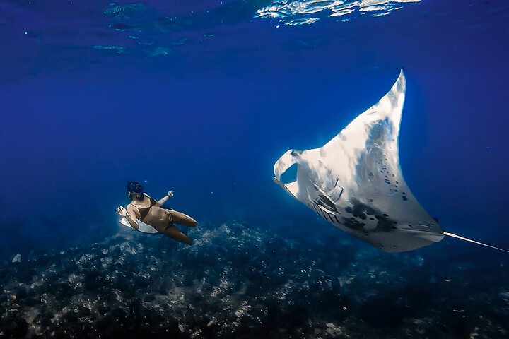 Nachtsnorkelen met Manta Rays in Kailua-Kona, Big Island, Hawaï, foto 21 | wizardtrip