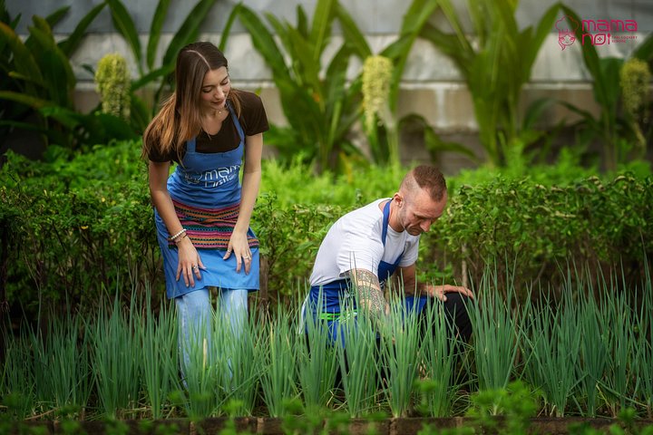 Lernen Sie authentische Thai-Küche und besuchen Sie einen Bio-Bauernhof in Chiang Mai, Foto 10 | wizardtrip