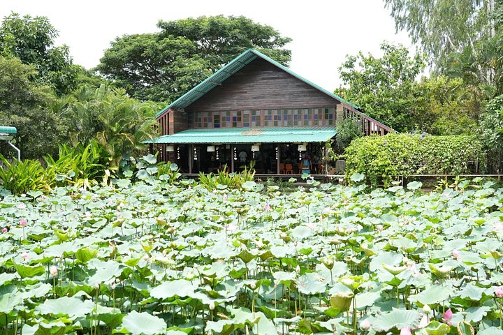 Lernen Sie authentische Thai-Küche und besuchen Sie einen Bio-Bauernhof in Chiang Mai, Foto 12 | wizardtrip