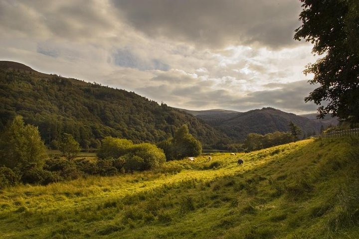 Dagtocht met gids vanuit Dublin naar Glendalough, Wicklow Mountains en Kilkenny, foto 19 | wizardtrip