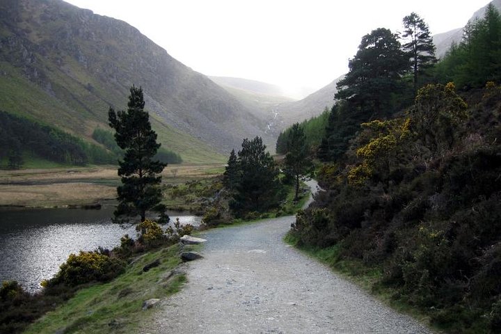 Dagtocht met gids vanuit Dublin naar Glendalough, Wicklow Mountains en Kilkenny, foto 23 | wizardtrip
